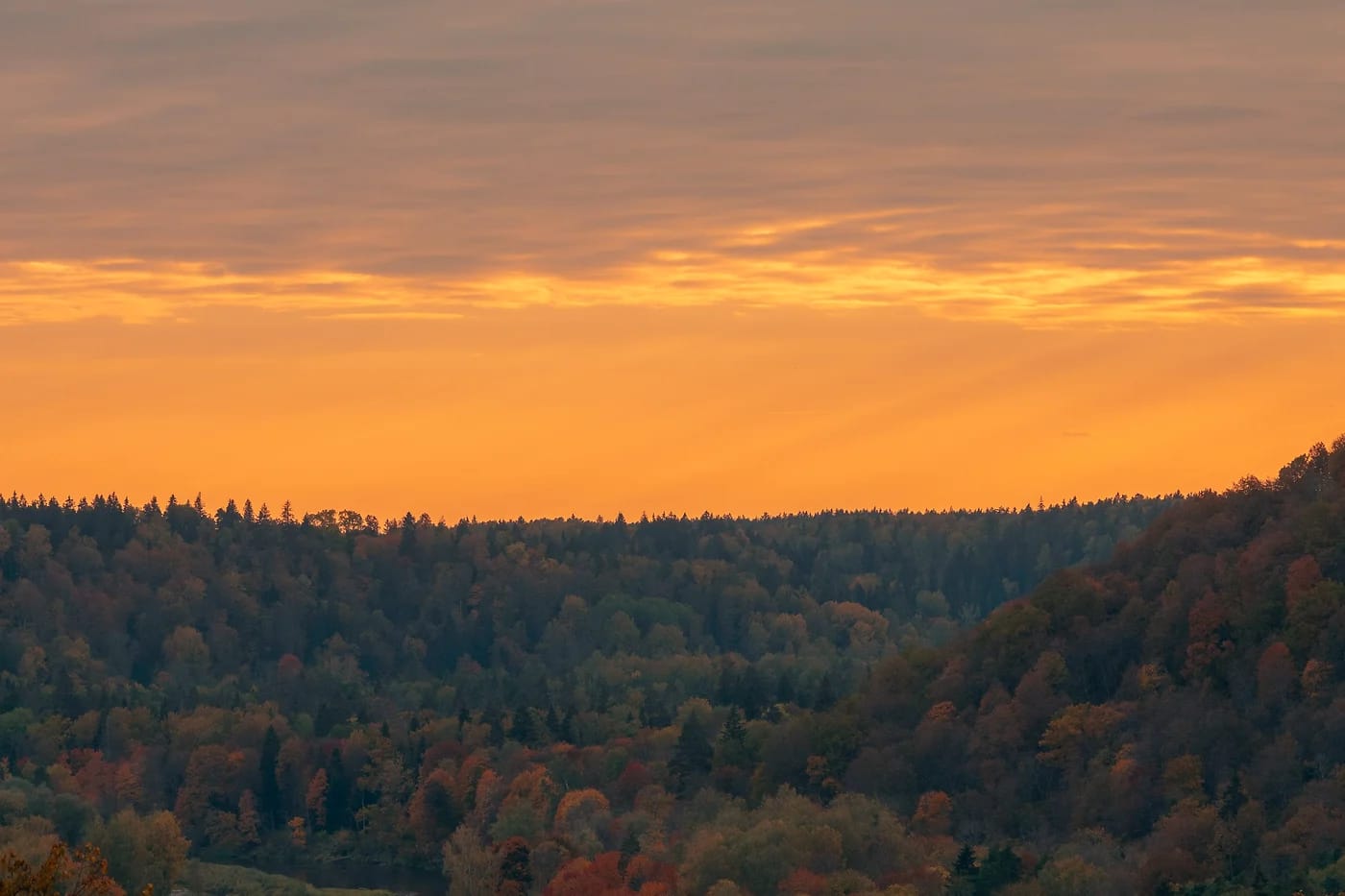 Gaujan laakso auringonlaskussa
