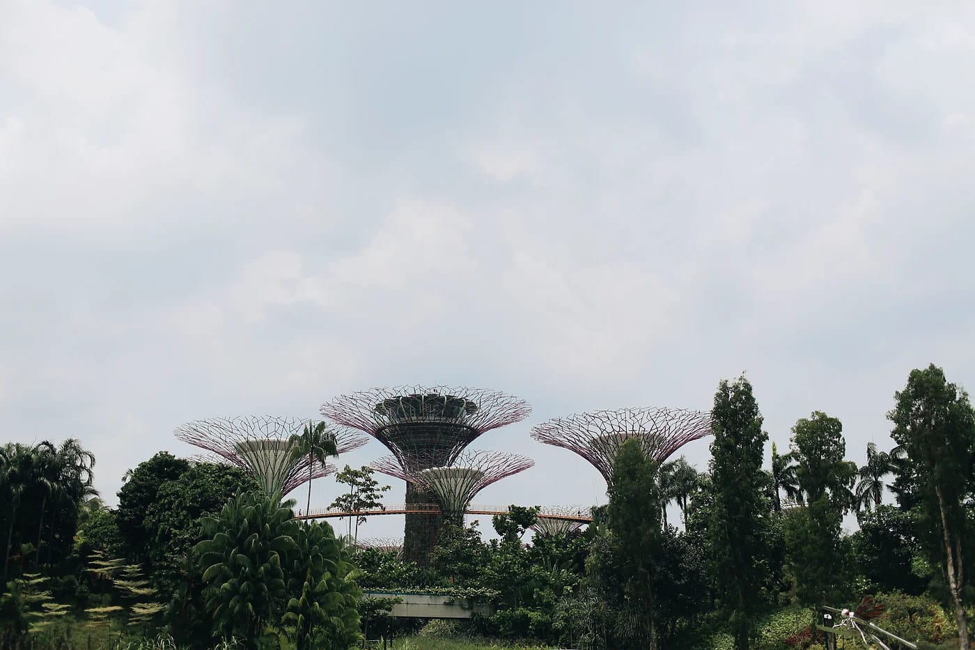 Supertree Grove Gardens by the Bayssa
