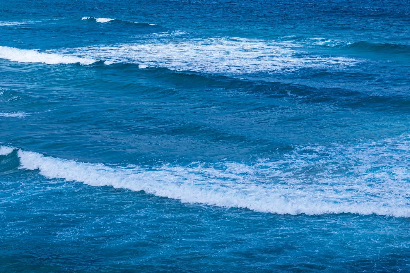 Bondi Beach ja meri Sydneyssä