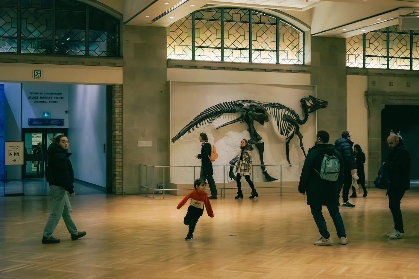 Royal Ontario Museumin dinosaurukset