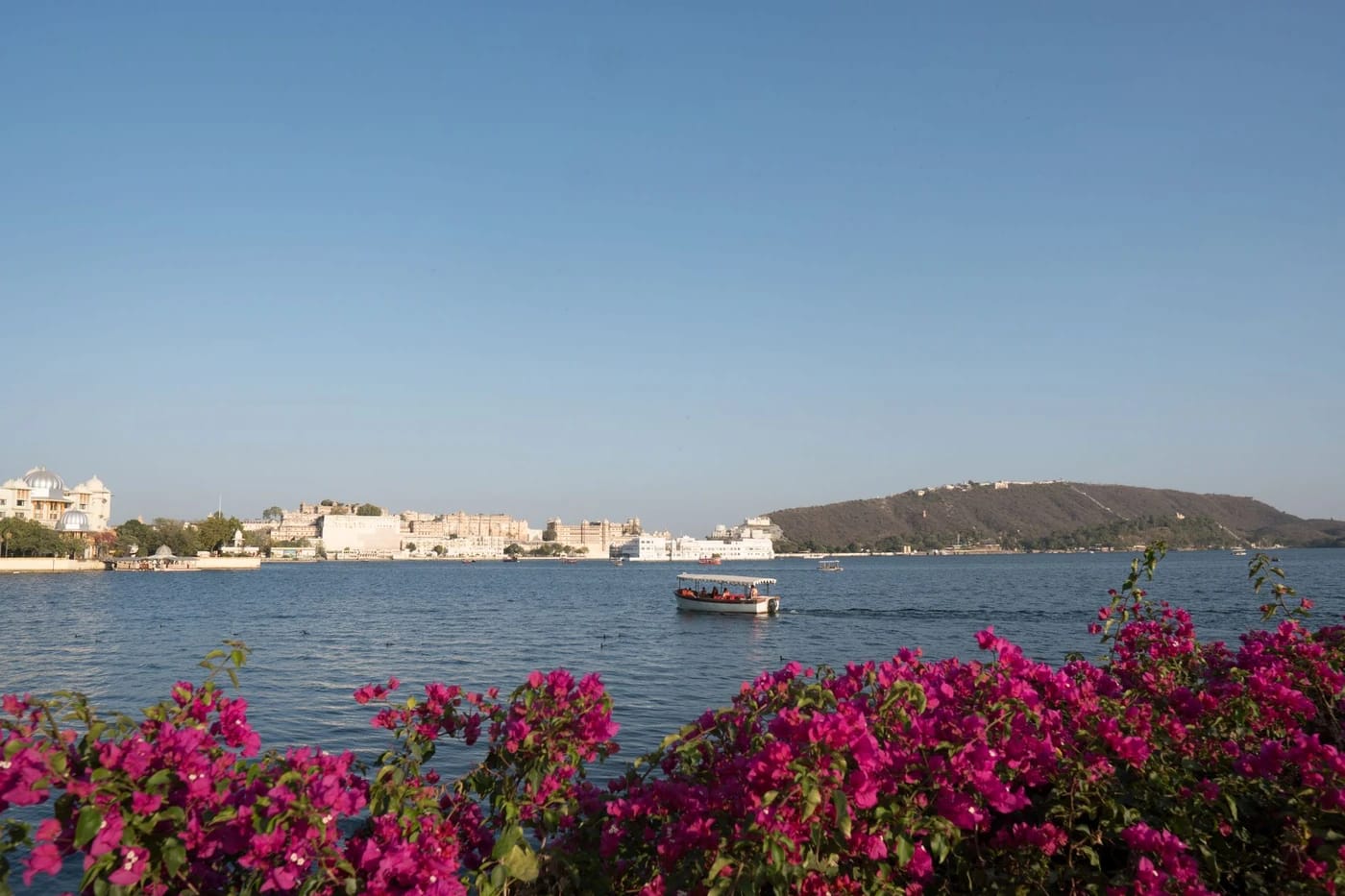 Turistivene ja bougainvillea Pichola-järvellä