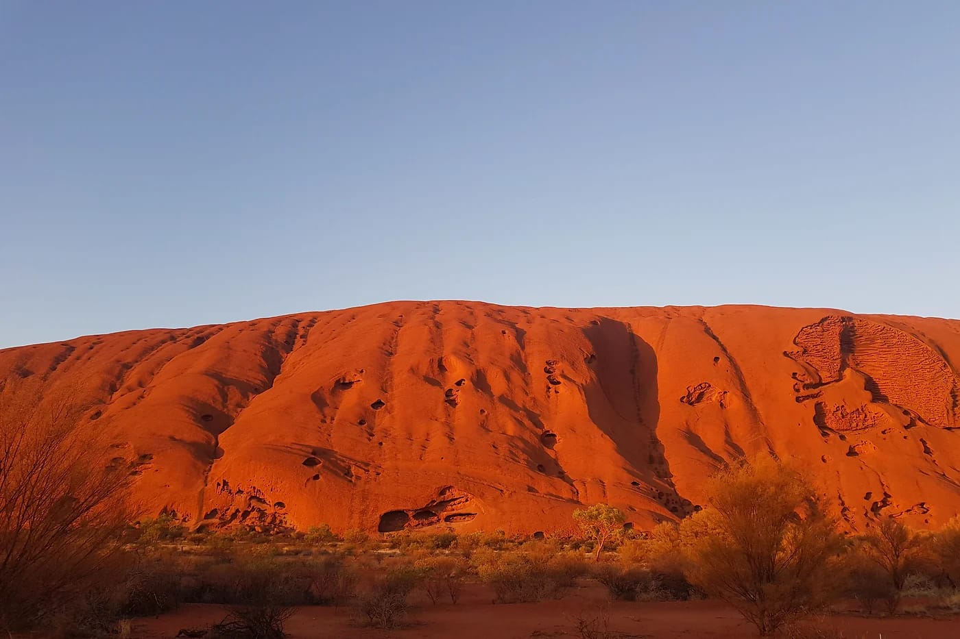 Punainen Uluru hehkuu aamun valossa