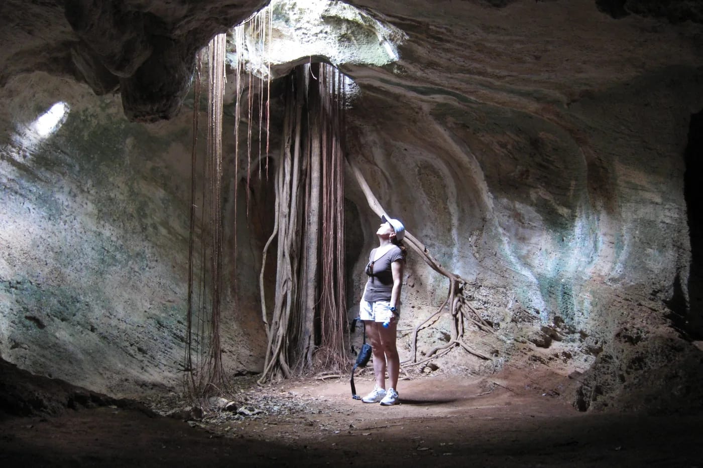 Cueva de Ambrosion luola Varahicacosin suojelualueella