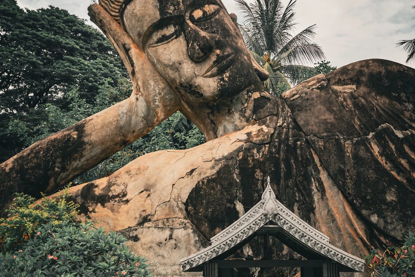 Buddhapuisto
