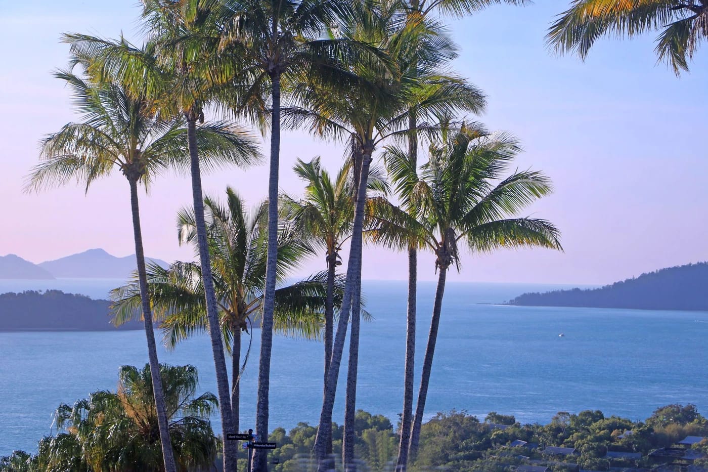 Palmuja ja turkoosi meri Whitsundaysissa