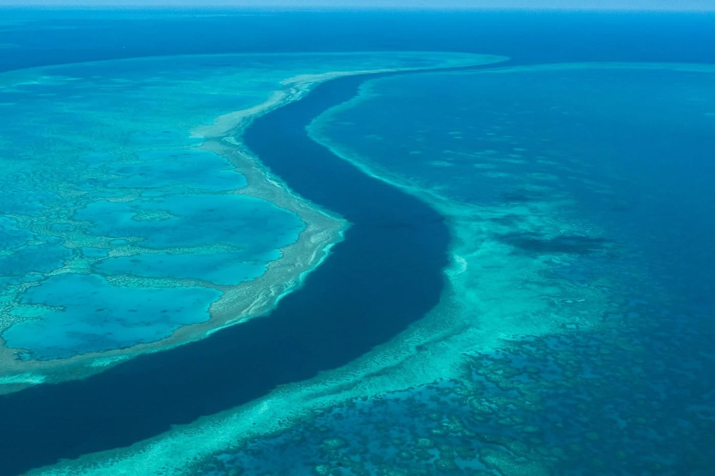 Great Barrier Reefin koralleja ilmasta