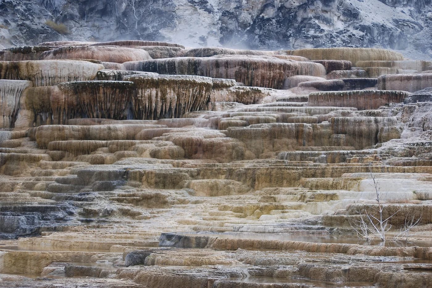 Mammoth Hot Springsin travertiiniterassit talvella
