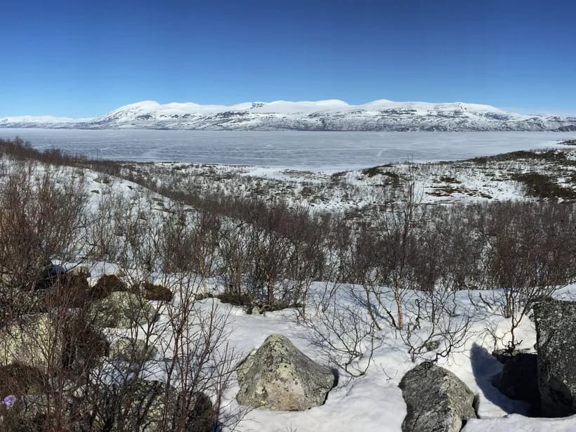 Abiskon kansallispuisto
