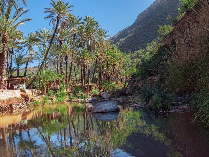 Paradise Valley & Atlas