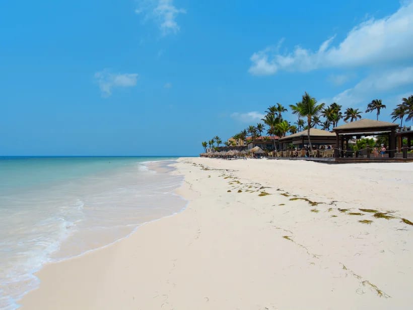 Palm Beach