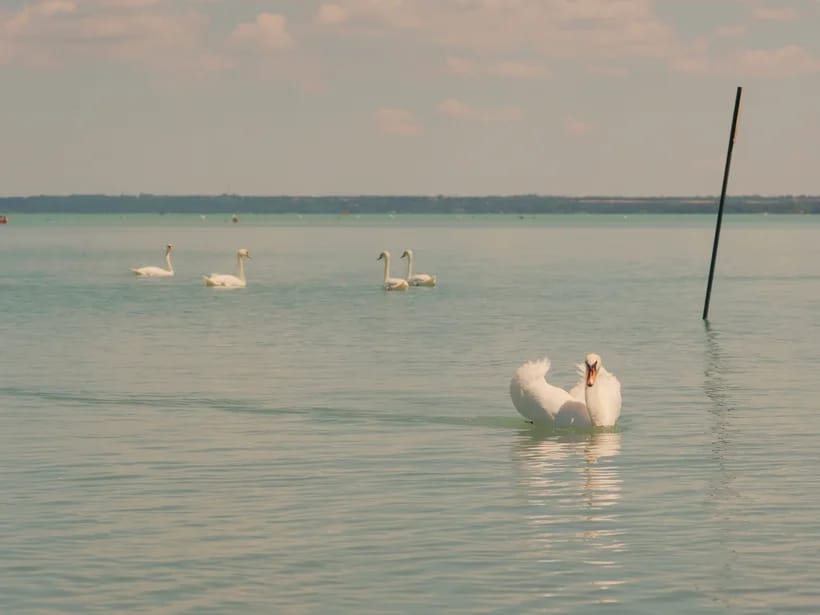 Siófok