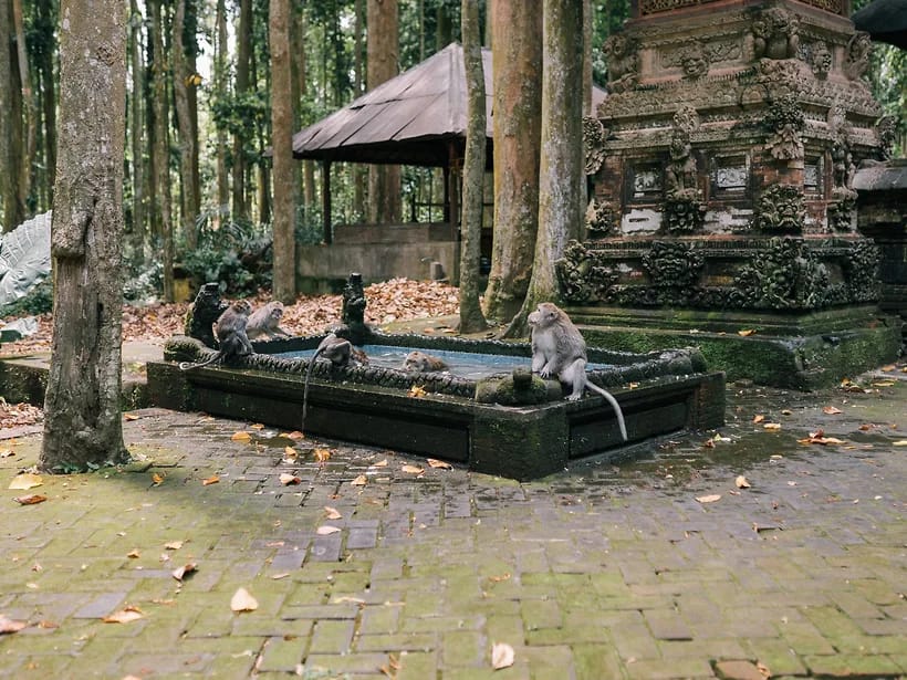 Ubud