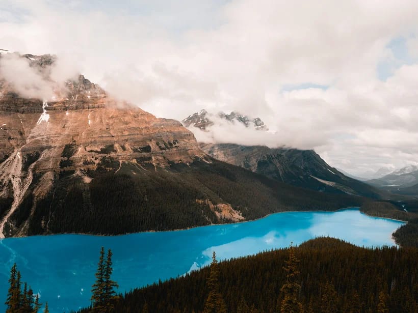 Peyto-järvi