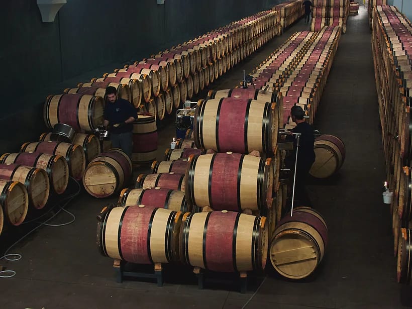 Médoc & viinitilat