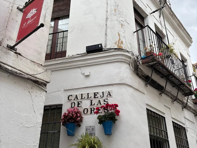 Patiot & Calleja de las Flores