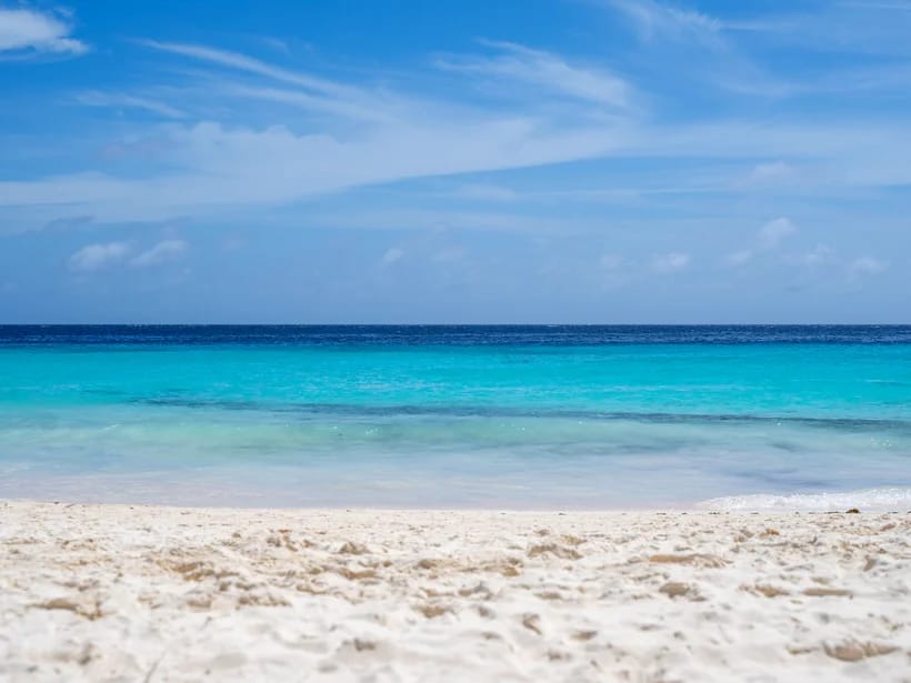Grote Knip