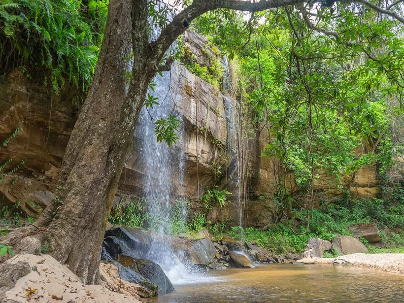 Shimba Hills