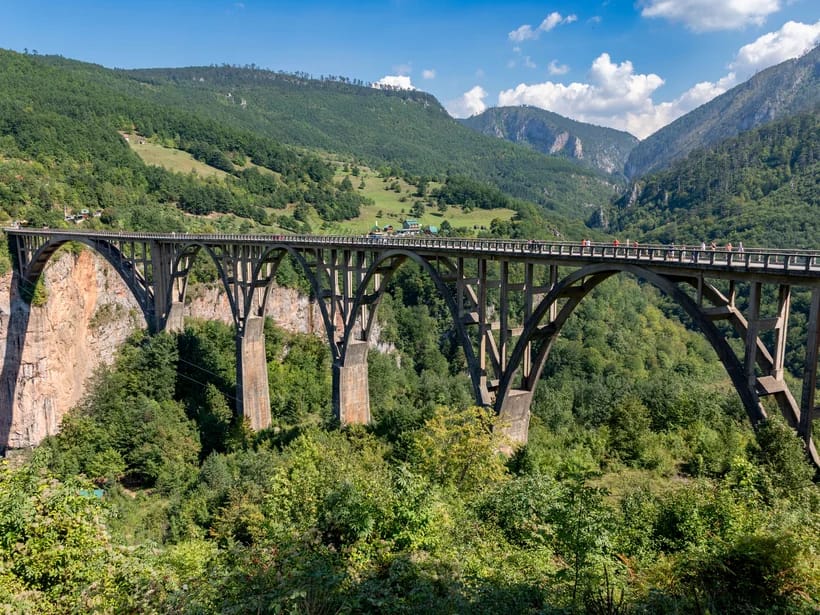 Djurđevican Tara-silta