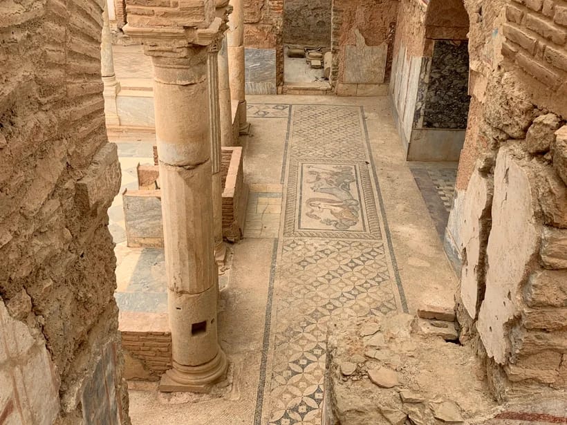 Terrace Houses