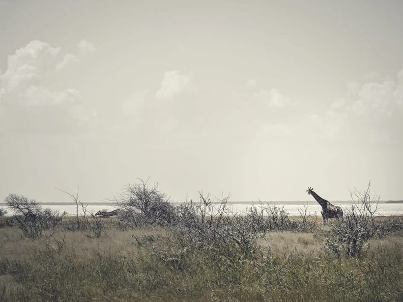 Etosha-pan