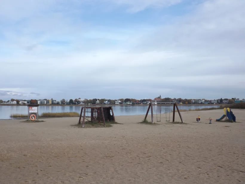 Paralepan ranta ja mäntymetsä