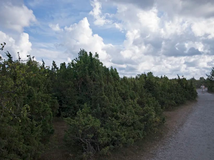Kassari