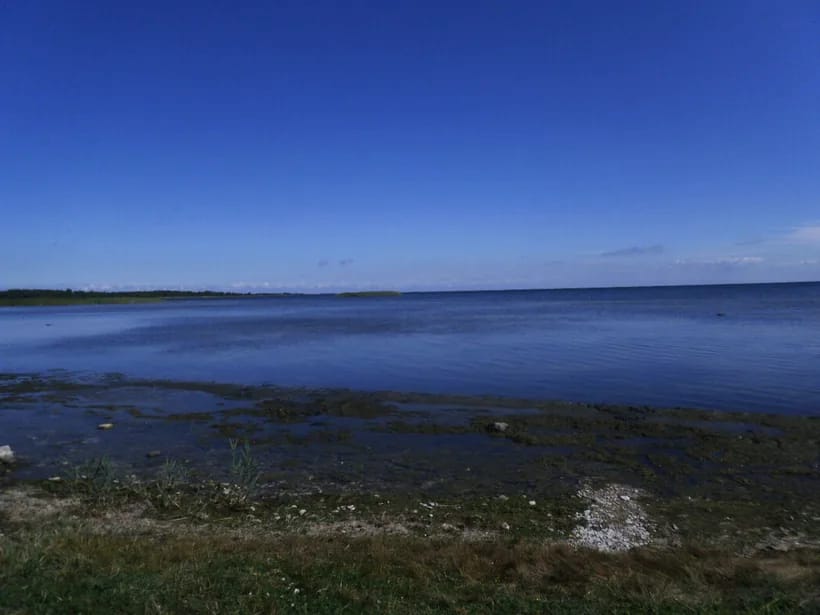 Rannat ja mäntymetsät