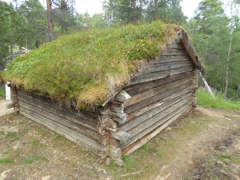 Siida