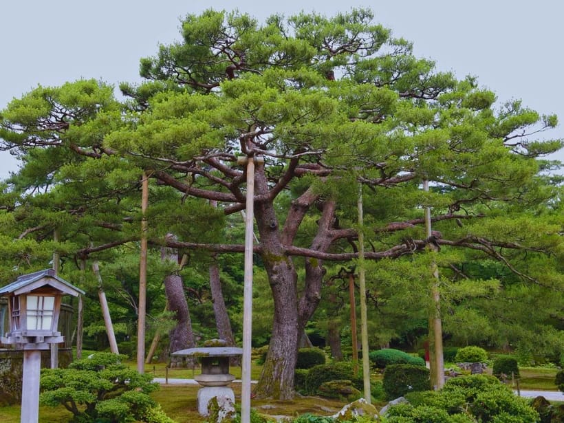 Kenroku-en