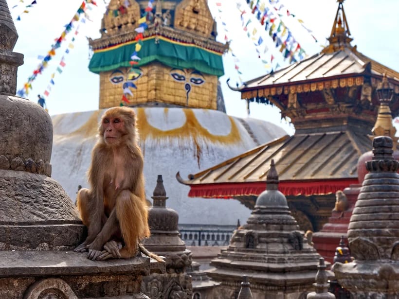 Swayambhunath