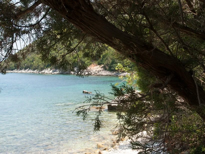 Antisamos