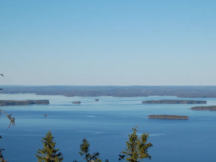 Kolin kansallispuisto