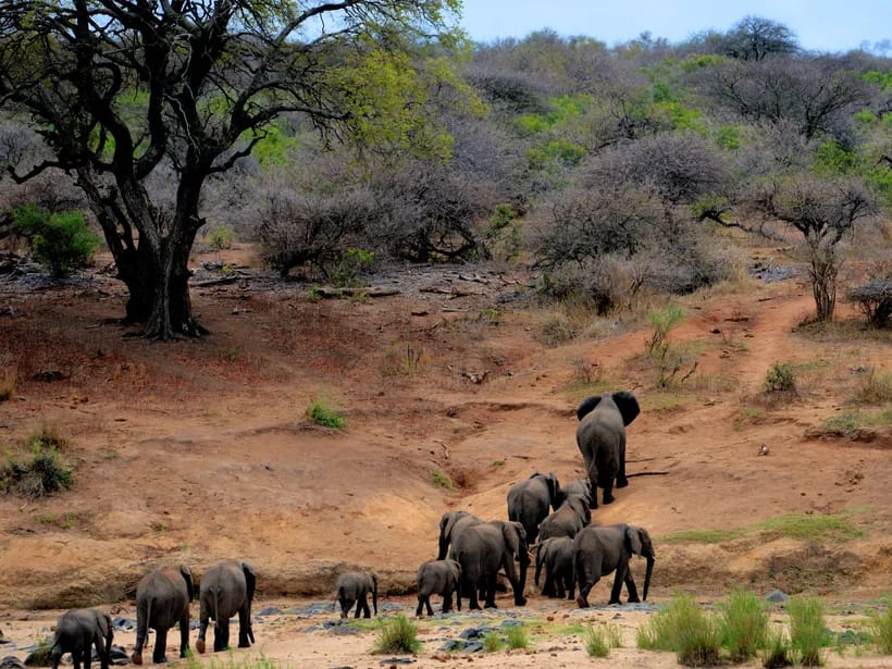 Big Five