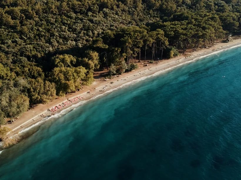 Ladies Beach
