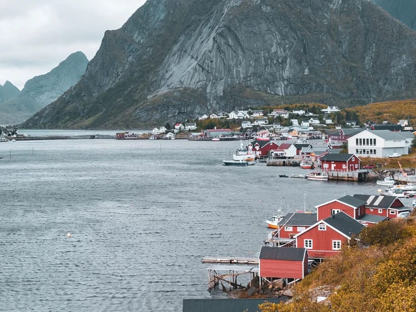 Reine