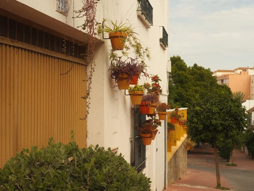 Estepona