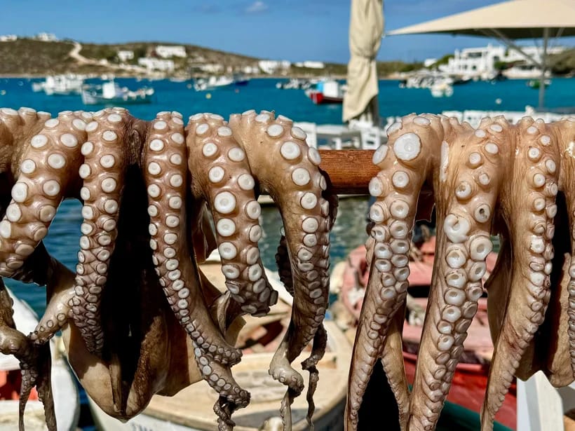Paikallinen ruokalaji kohteessa Mykonos