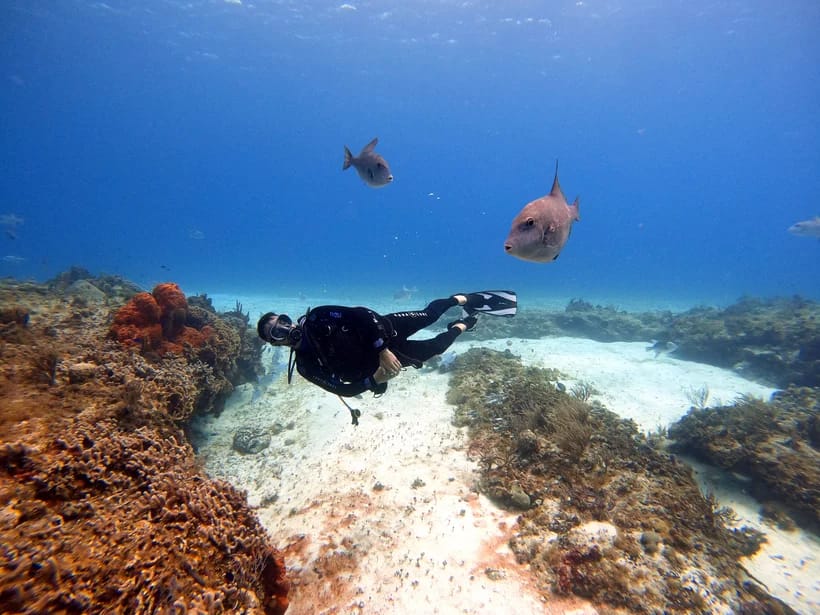 Cozumel