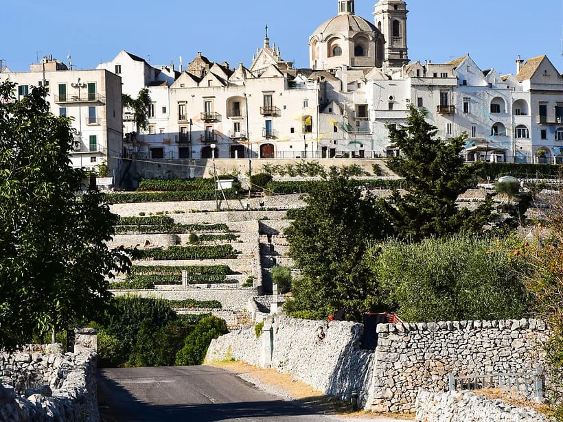 Locorotondo & Valle d'Itria