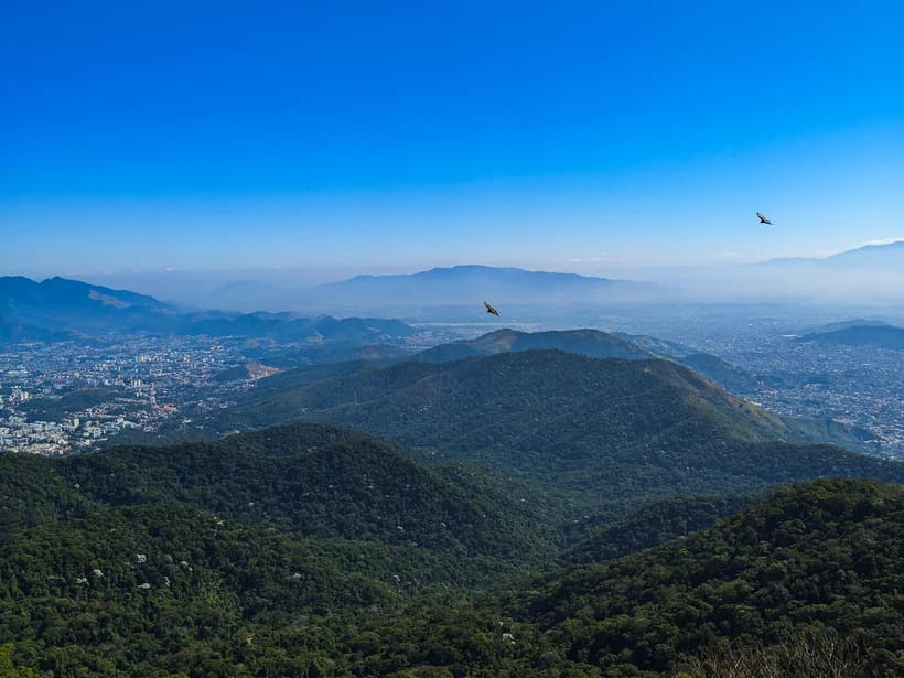 Tijuca