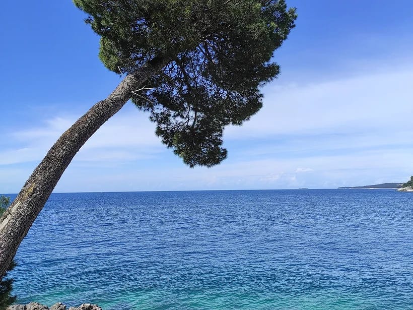 Zlatni Rt (Punta Corrente)