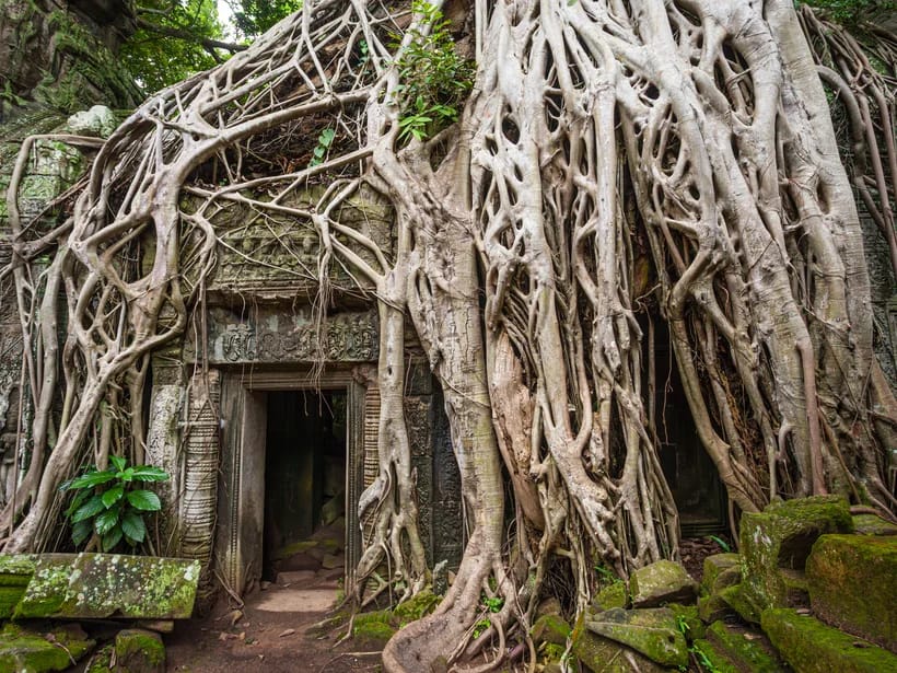 Ta Prohm