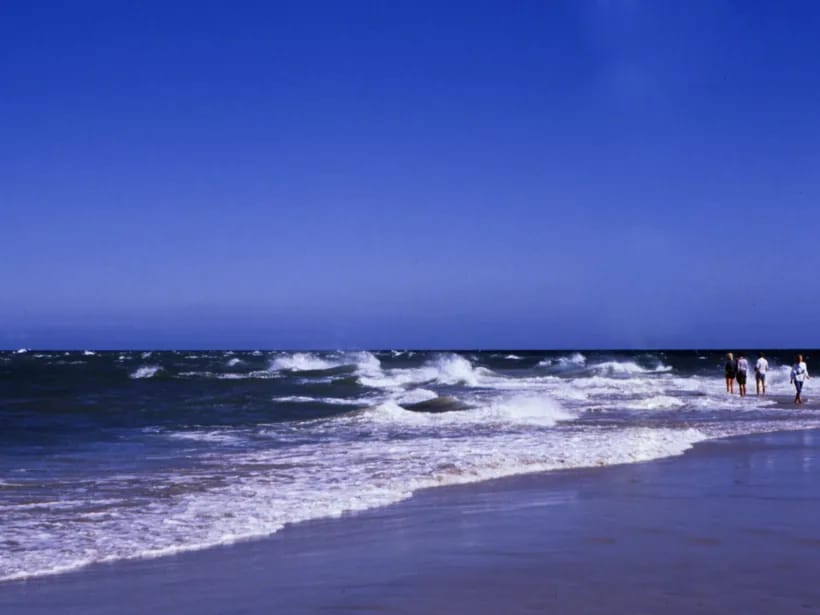 Grenen