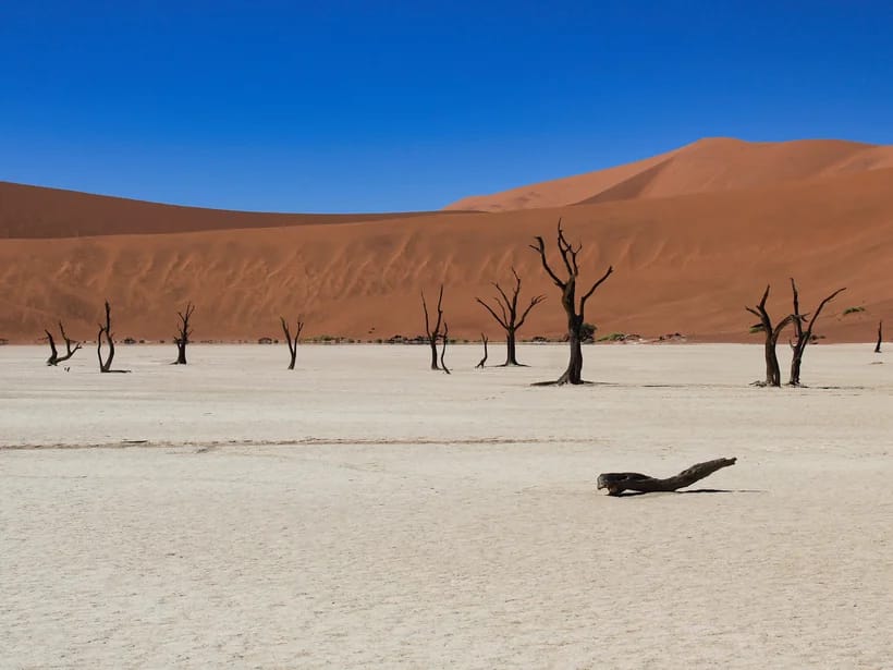 Deadvlei