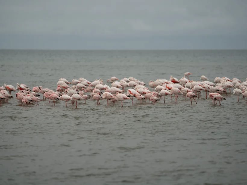 Walvis Bay