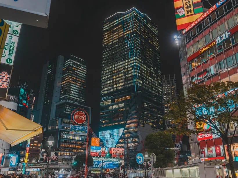 Shinjuku & Shibuya
