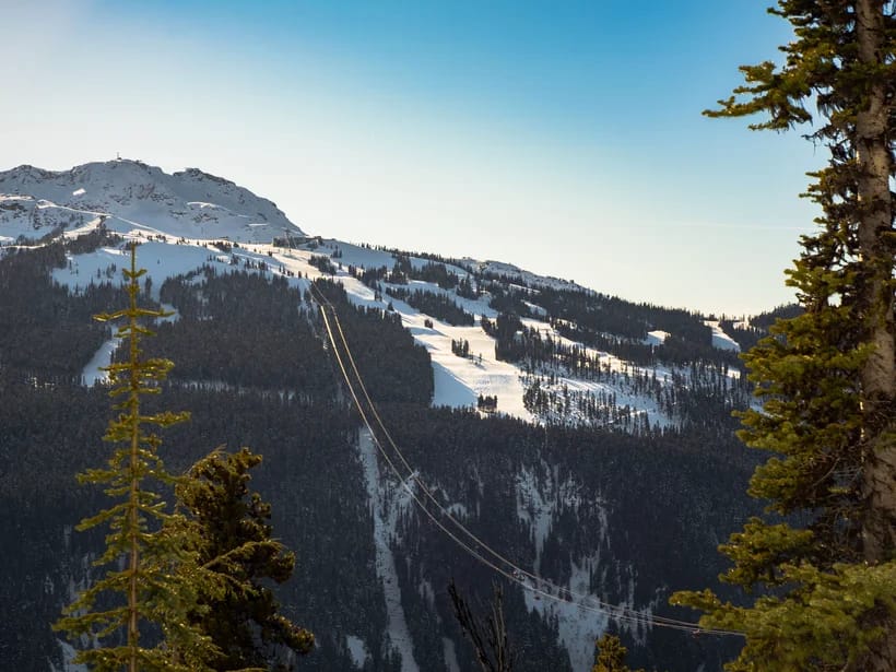 Whistler