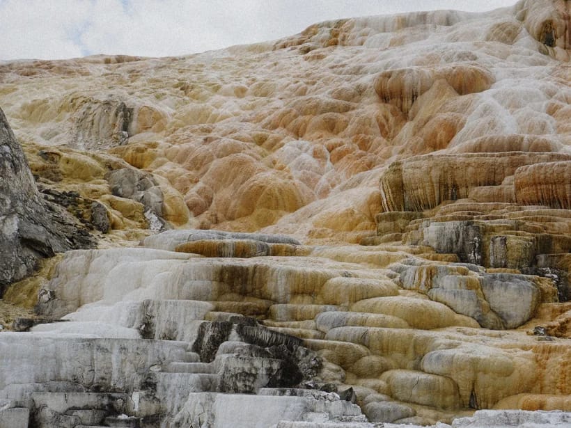 Mammoth Hot Springs