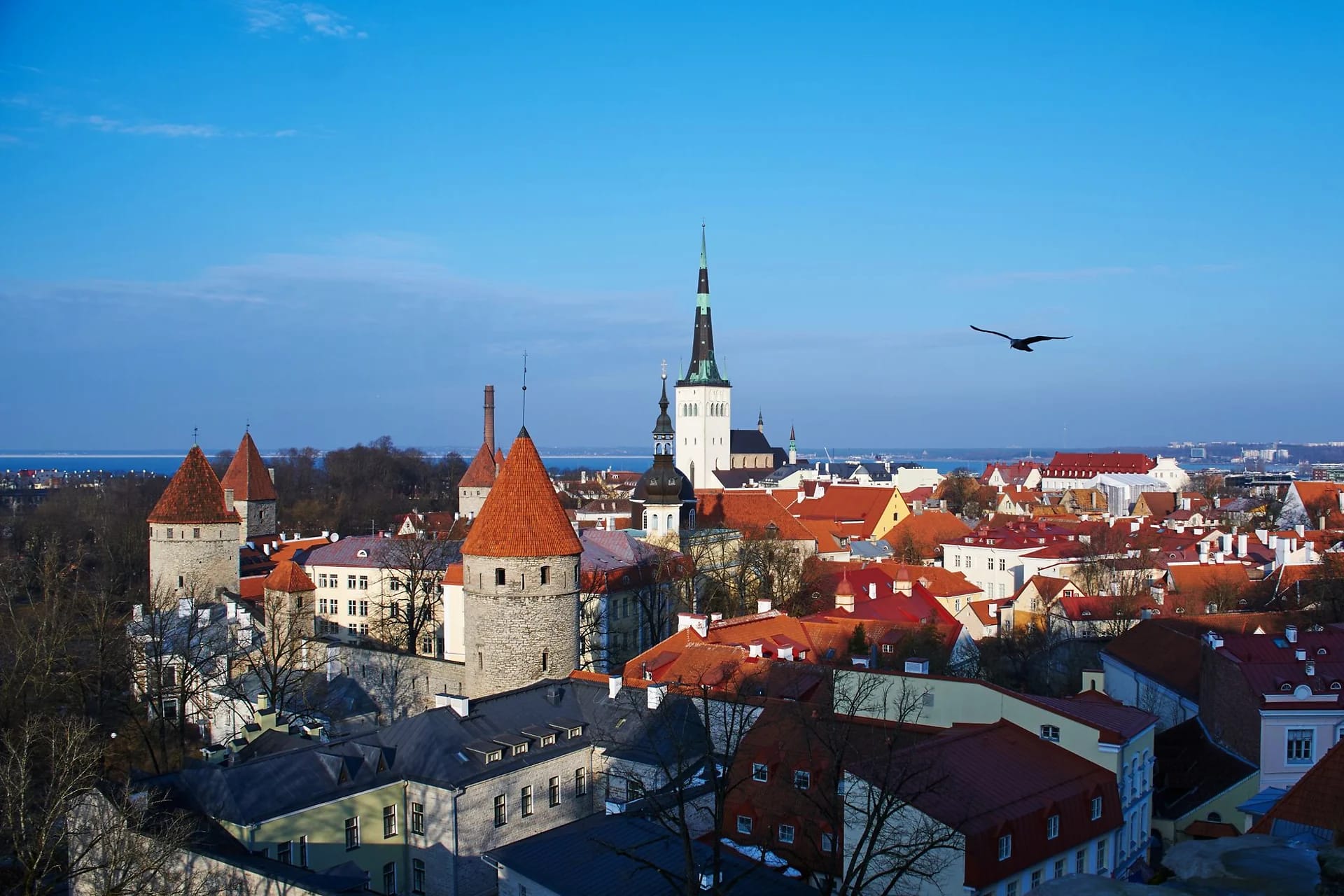 Tallinna