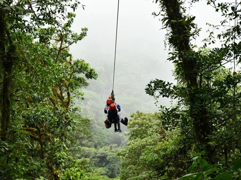 Ziplinet